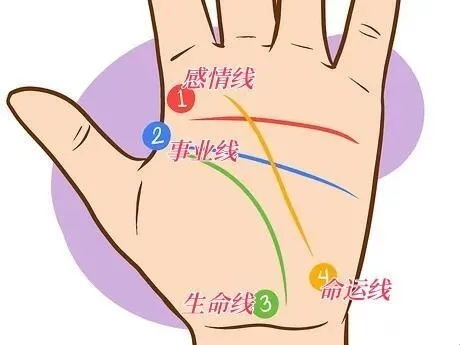 (掌纹图解女命运线)女人手掌上的命运线意味着什么？探寻掌纹背后的命运旅程