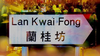 香港最快最准的资料2022年版|探索生活中的小确幸_解谜集.1.910